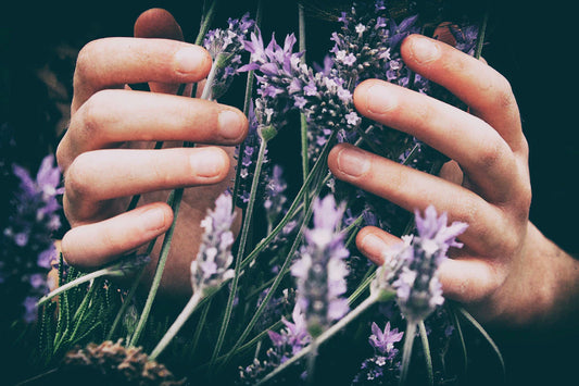 Discover the Power of Natural Ingredients in Beauty