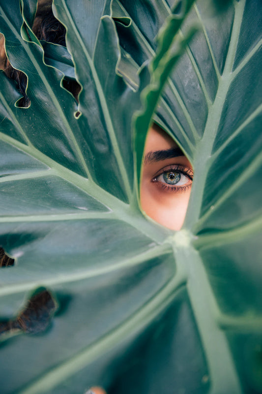 Sustainable Beauty Practices You Can Adopt Today